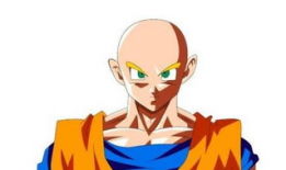 光头动漫,幽默与智慧的碰撞